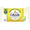 Cottonelle Feuchtes Toilettenpapier Natürlich Pflegend Kamille & Aloe Vera 42ST -tissue paper shop cottonelle feuchtes toilettenpapier natamp252rlich pflegend kamilleampampaloe vera nf 42st